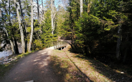 24_Germantas (2).jpg